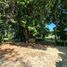  Land for sale in Chile, Concepcion, Concepción, Biobío, Chile