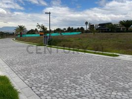  Land for sale in Puembo, Quito, Puembo