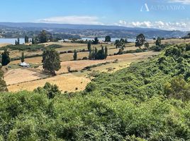  Terreno (Parcela) en venta en Chile, Castro, Chiloé, Los Lagos, Chile
