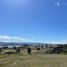  Terreno (Parcela) en venta en Chile, Castro, Chiloé, Los Lagos, Chile