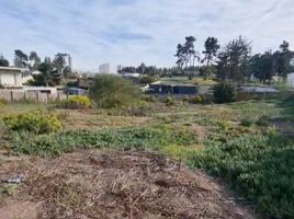  Land for sale in Valparaiso, Vina Del Mar, Valparaiso, Valparaiso
