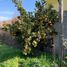  Land for sale in Santiago, Paine, Maipo, Santiago