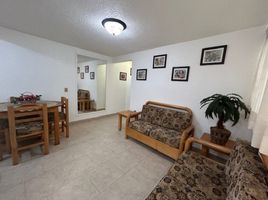 1 Schlafzimmer Wohnung zu vermieten in Toluca, Mexico, Toluca