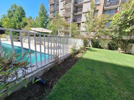 1 Bedroom Condo for rent in San Jode De Maipo, Cordillera, San Jode De Maipo