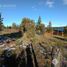  Land for sale in Cushamen, Chubut, Cushamen, Chubut