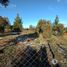  Land for sale in Cushamen, Chubut, Cushamen, Chubut