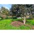  Land for sale in Chile, Coinco, Cachapoal, Libertador General Bernardo Ohiggins, Chile