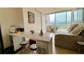 1 Habitación Departamento en alquiler en Cordillera, Santiago, San Jode de Maipo, Cordillera