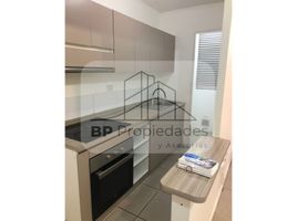 3 Habitación Apartamento en alquiler en Chile, Coquimbo, Elqui, Coquimbo, Chile