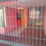 4 Bedroom Villa for sale in Chile, Coquimbo, Elqui, Coquimbo, Chile