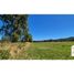 Land for sale in Chile, Los Lagos, Valdivia, Los Rios, Chile