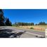  Land for sale in Chile, Los Lagos, Valdivia, Los Rios, Chile