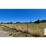  Land for sale in Chile, Los Lagos, Valdivia, Los Rios, Chile