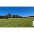  Land for sale in Chile, Los Lagos, Valdivia, Los Rios, Chile