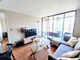 1 Schlafzimmer Wohnung zu verkaufen in Cordillera, Santiago, San Jode De Maipo
