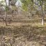  Terreno (Parcela) en venta en Colina, Chacabuco, Colina