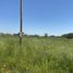  Terreno (Parcela) en venta en Maule, Longavi, Linares, Maule