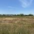  Terreno (Parcela) en venta en Maule, Longavi, Linares, Maule