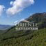  Terreno (Parcela) en venta en Chile, Curacautin, Malleco, Araucanía, Chile