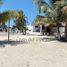 在Progreso, Yucatan出租的2 卧室 屋, Progreso