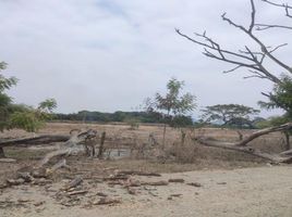  Terrain for sale in Équateur, Narcisa De Jesus, Nobol, Guayas, Équateur