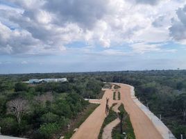  Grundstück zu verkaufen in Merida, Yucatan, Merida, Yucatan