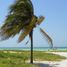  Grundstück zu verkaufen in Hunucma, Yucatan, Hunucma
