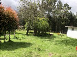  Land for sale in Gachancipa, Cundinamarca, Gachancipa