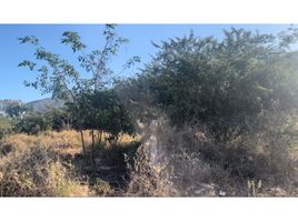  Land for sale in Magdalena, Santa Marta, Magdalena