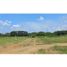  Land for sale in Palmira, Valle Del Cauca, Palmira