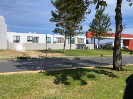  Land for sale in Zapopan, Jalisco, Zapopan, Jalisco