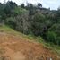 Terrain à vendre à Medellin, Antioquia, Medellin