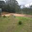  Land for sale in Guatica, Risaralda, Guatica