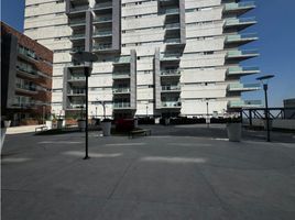 1 Schlafzimmer Appartement zu vermieten in Monterrey, Nuevo Leon, Monterrey