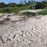 Land for sale in Yobain, Yucatan, Yobain