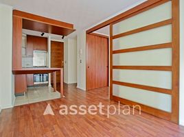 1 Bedroom Condo for rent in Chile, Santiago, Santiago, Santiago, Chile