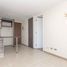 1 Bedroom Apartment for rent in Chile, Santiago, Santiago, Santiago, Chile