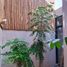 2 Habitación Casa en alquiler en Yucatán, Merida, Yucatán