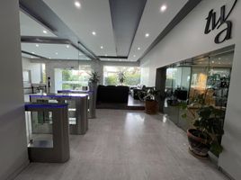 800 m² Office for rent in Alvaro Obregon, Mexico City, Alvaro Obregon
