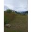  Land for sale in Boquete, Chiriqui, Alto Boquete, Boquete