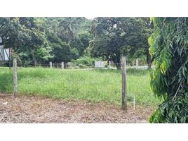  Terrain for sale in Penonome, Cocle, Cocle, Penonome