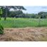  Land for sale in Penonome, Cocle, Cocle, Penonome