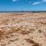  Land for sale in La Paz, Baja California Sur, La Paz, Baja California Sur