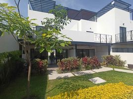 3 Schlafzimmer Villa zu verkaufen in Miacatlan, Morelos, Miacatlan