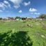  Land for sale in Miacatlan, Morelos, Miacatlan