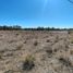  Land for sale in Confluencia, Neuquen, Confluencia