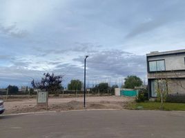  Terreno (Parcela) en venta en Lujan De Cuyo, Mendoza, Lujan De Cuyo