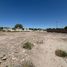  Land for rent in Argentina, Capital, San Juan, Argentina