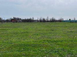  Land for sale in Chile, Paine, Maipo, Santiago, Chile