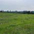  Land for sale in Chile, Paine, Maipo, Santiago, Chile